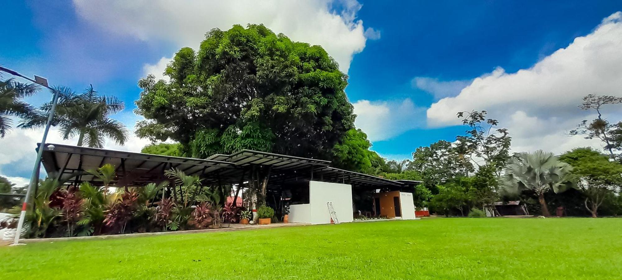 Hotel Campestre Las Palmas Sas 比亚维森西奥 外观 照片