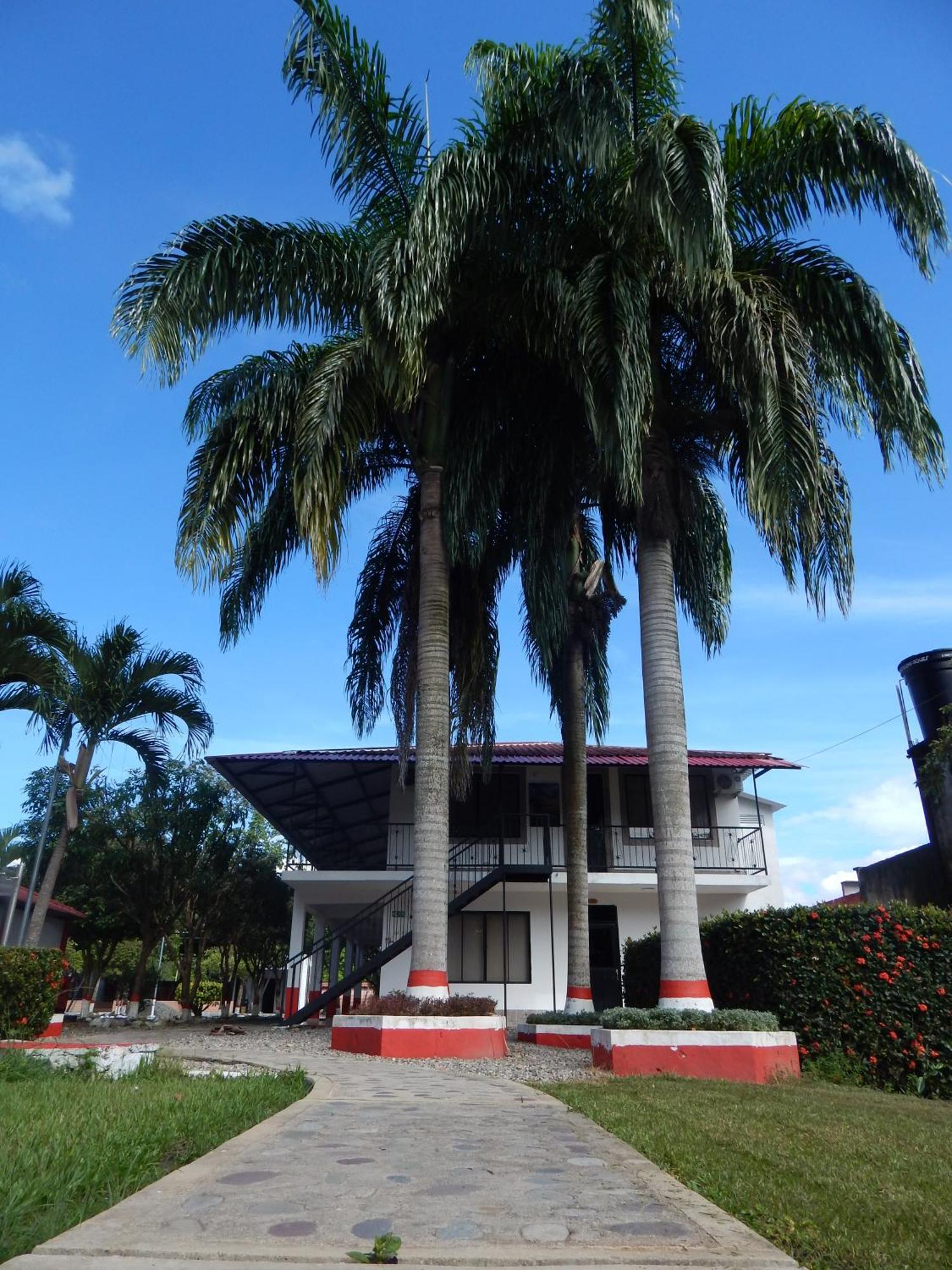 Hotel Campestre Las Palmas Sas 比亚维森西奥 外观 照片